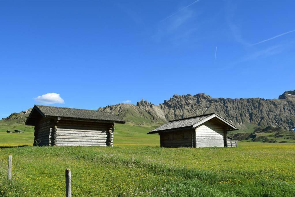 App Schlossblick - Wohnung Hammerwand 2 Umes Exterior photo